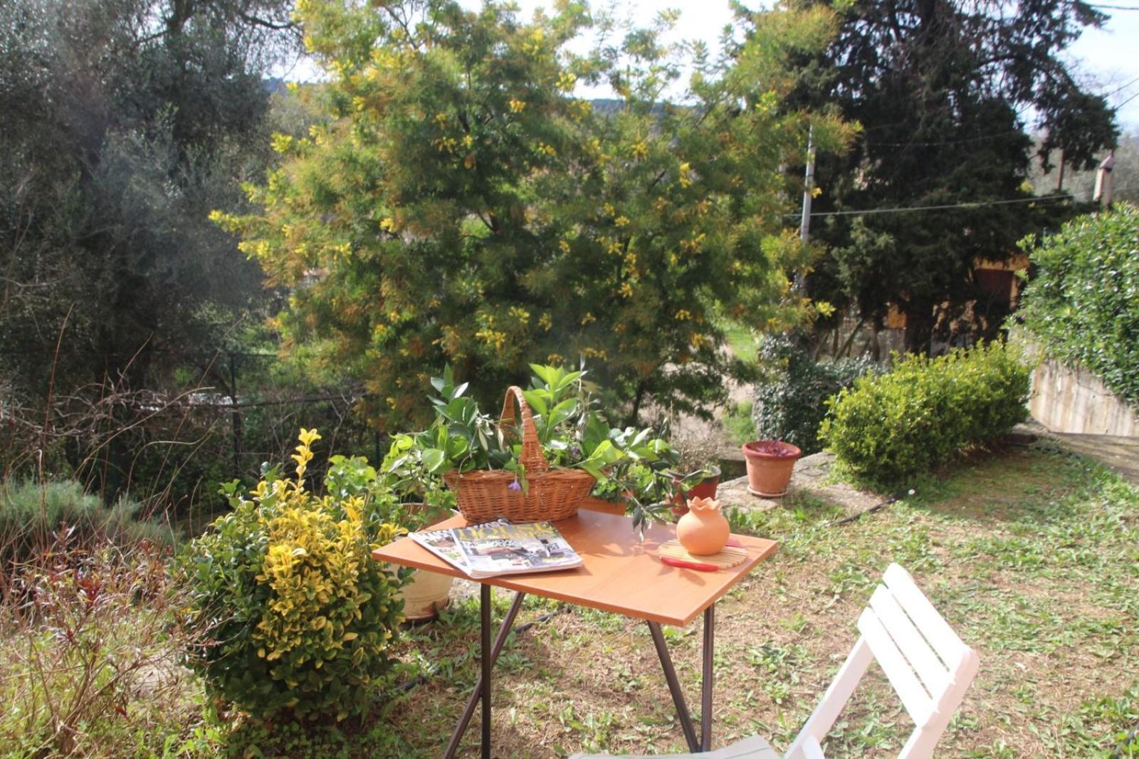Olive Luxouri Apartment Gazatika Bagian luar foto